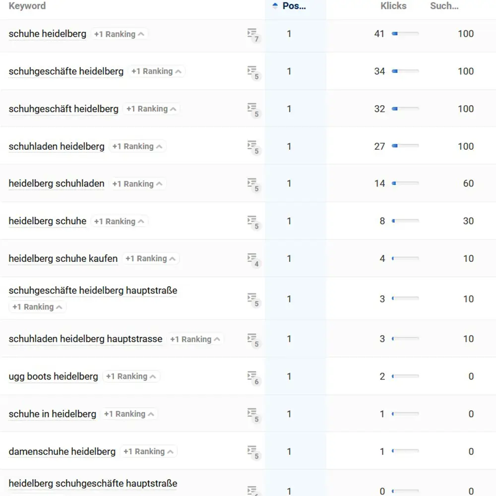 Darstellung der Position 1 Rankings für Heidelberg