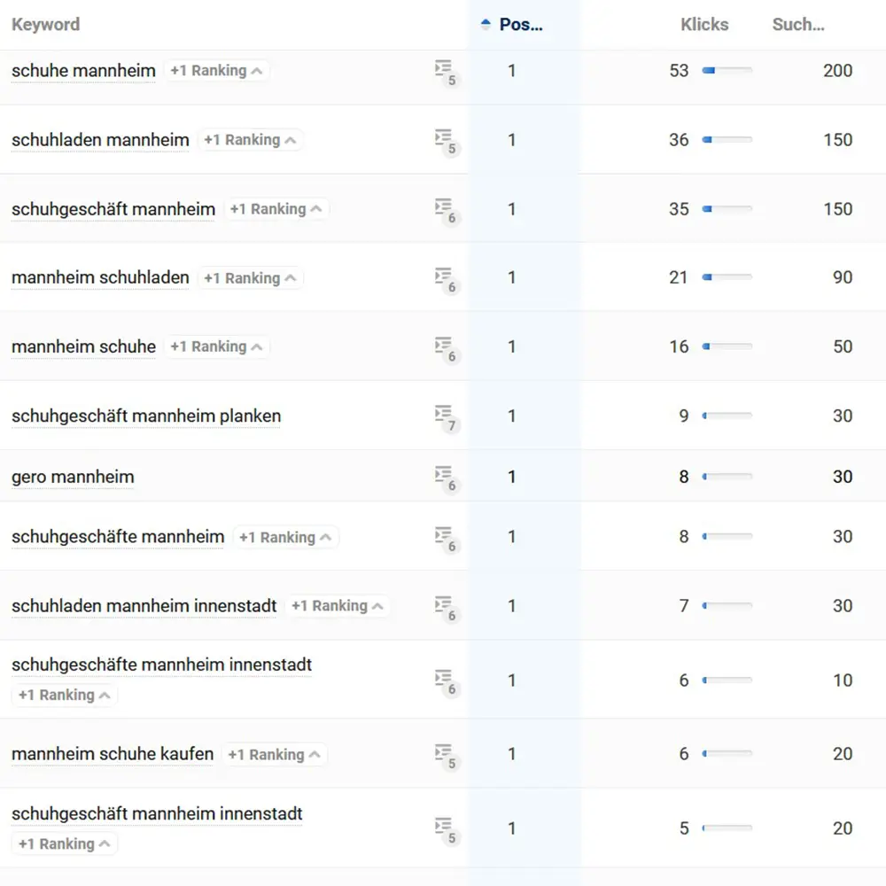 Darstellung der Position 1 Rankings für Mannheim